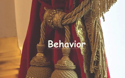Learn good manners in Houston, TX