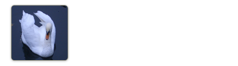 Preservation of Elegance